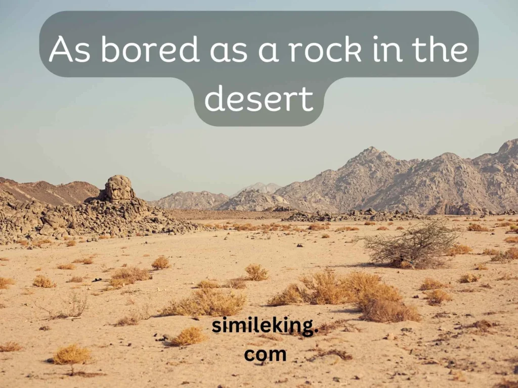 As bored as a rock in the desert