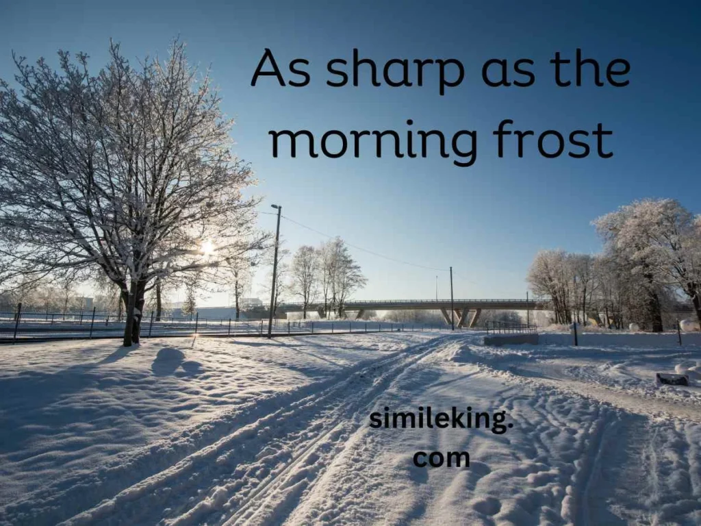 As sharp as the morning frost