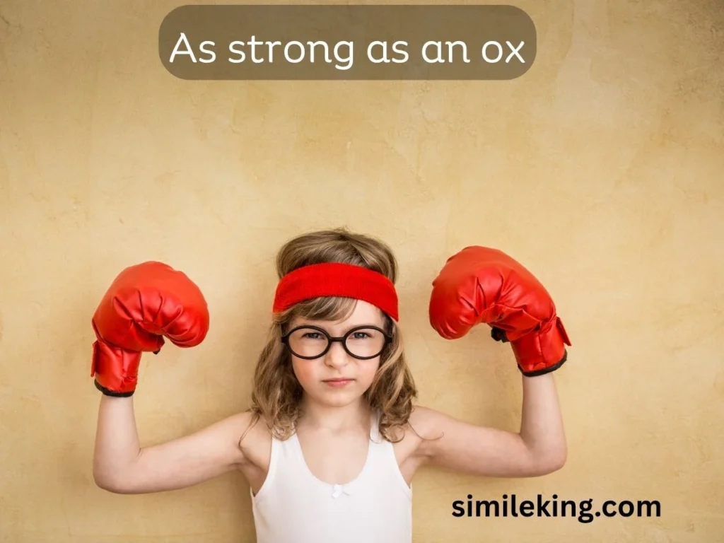 As strong as an ox