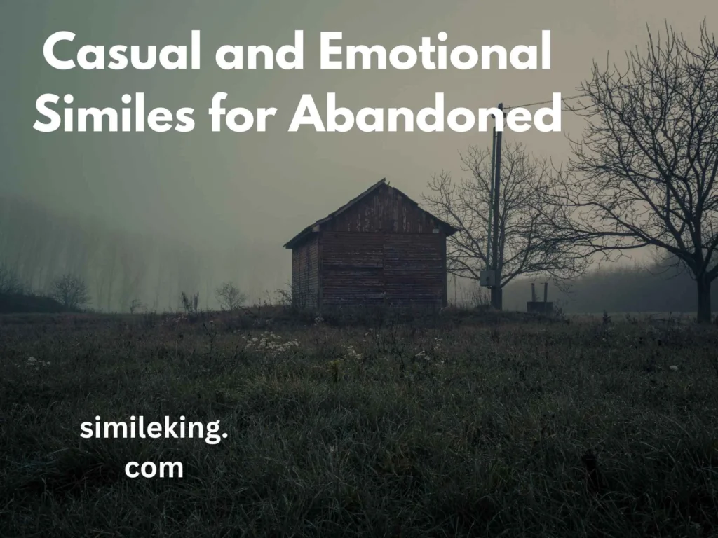 Casual and Emotional Similes for Abandoned
