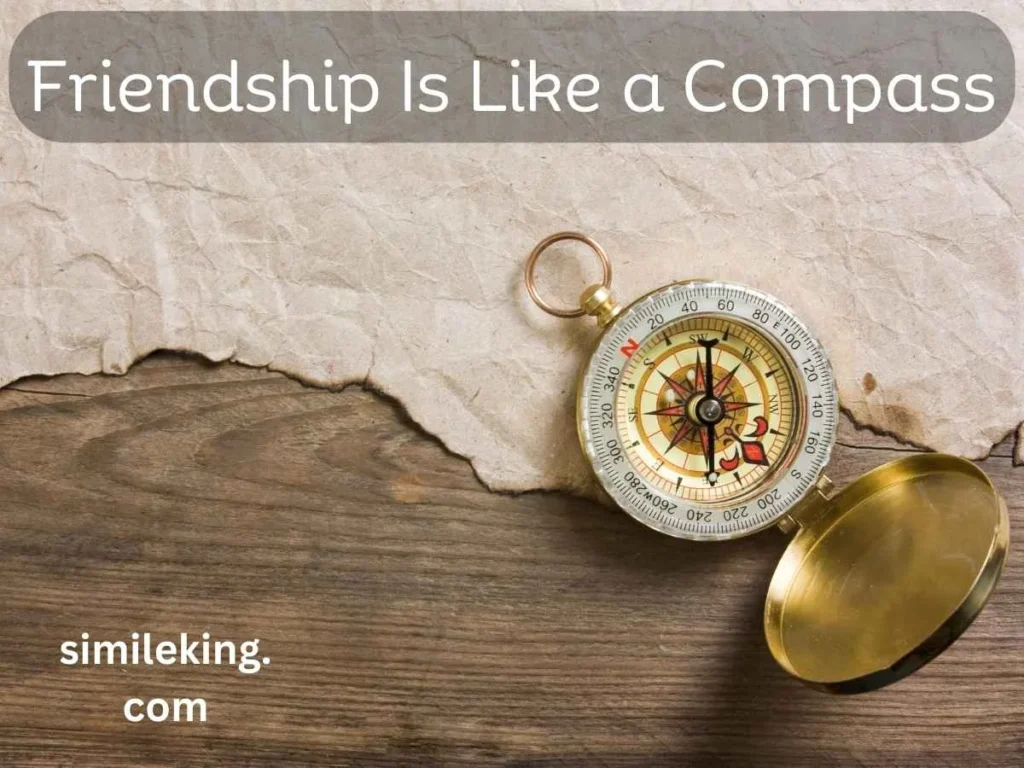 Friendship Is Like a Compass