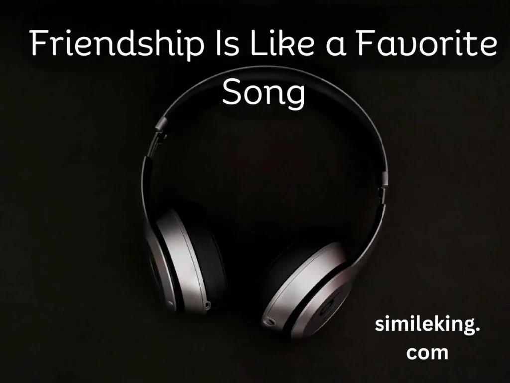 Friendship Is Like a Favorite Song