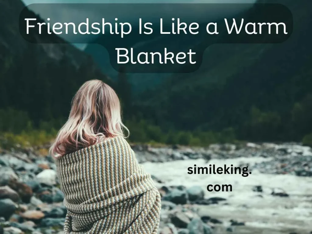 Friendship Is Like a Warm Blanket