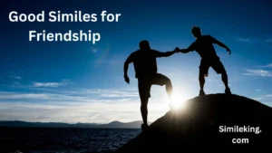 Read more about the article 10+ Good Similes for Friendship<div class="last-updated" style="font-size:14px; font-weight:bold; color:#444; background:#f5f5f5; padding:10px; border-radius:5px; margin-top:10px; margin-bottom:20px;">
                 Last updated: July 14, 2025 at 5:11 am by Charles
            </div>