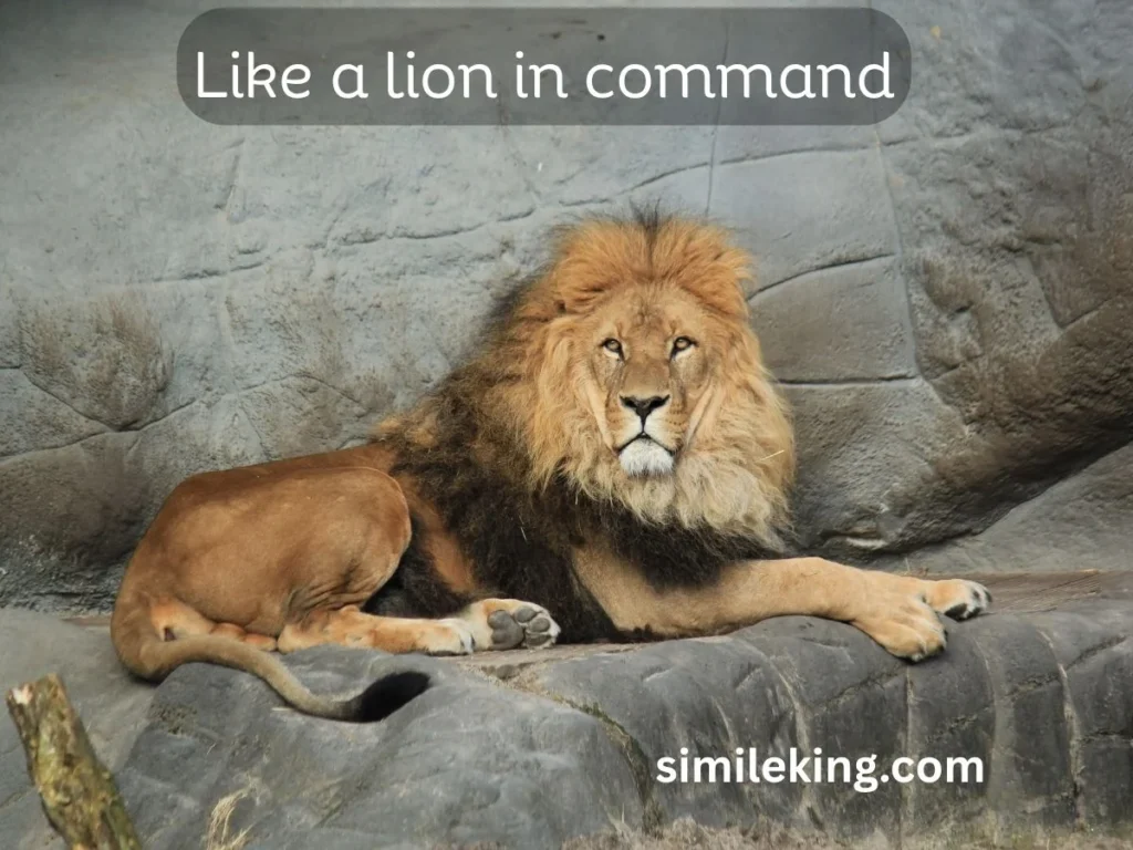 Like a lion in command