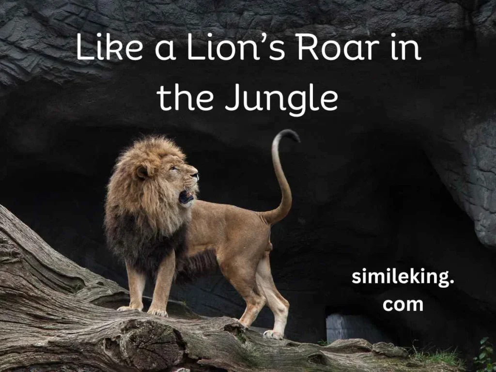 Like a Lion’s Roar in the Jungle