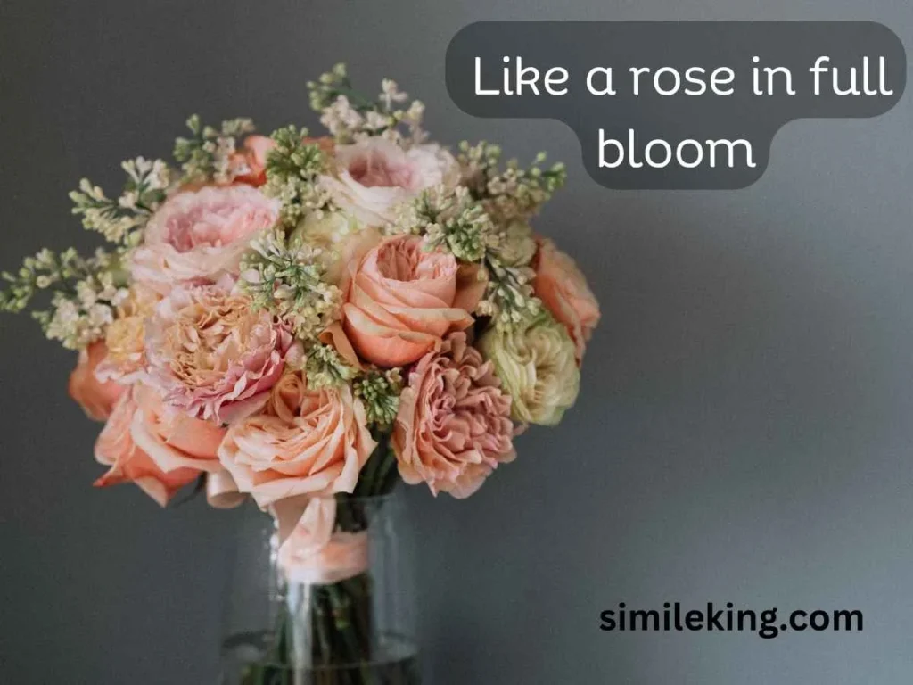 Like a rose in full bloom