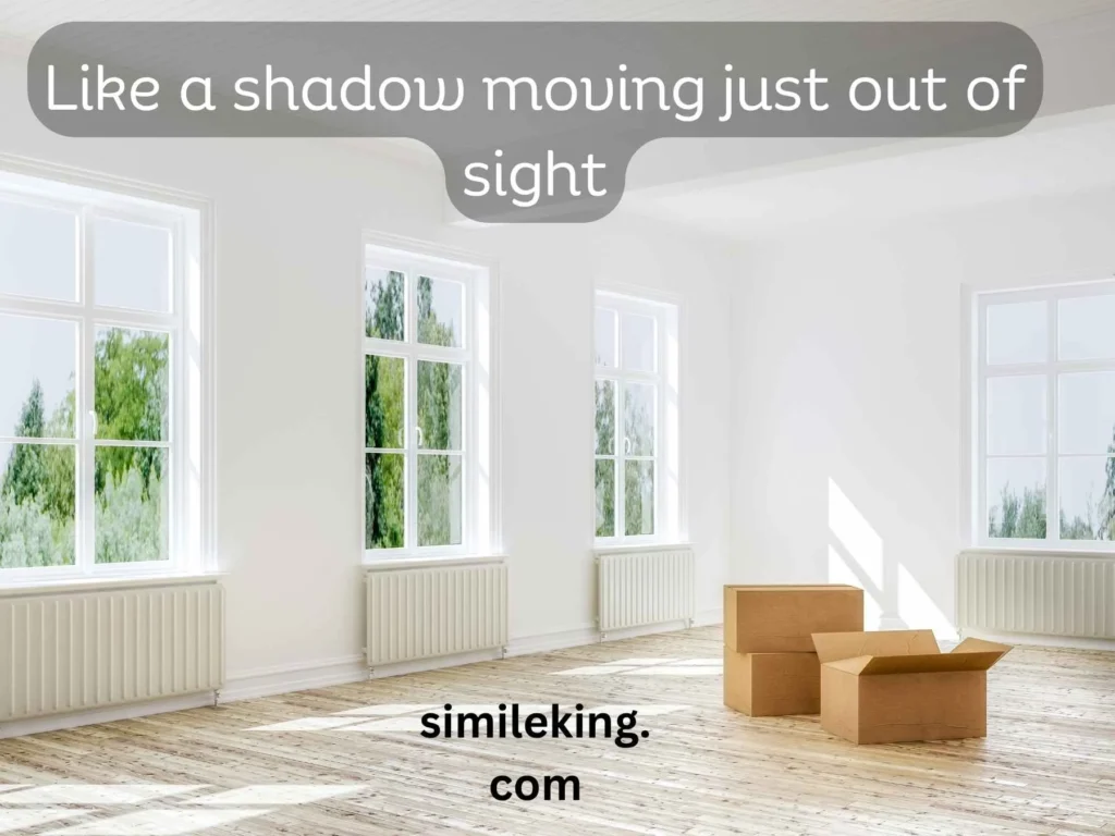 Like a shadow moving just out of sight