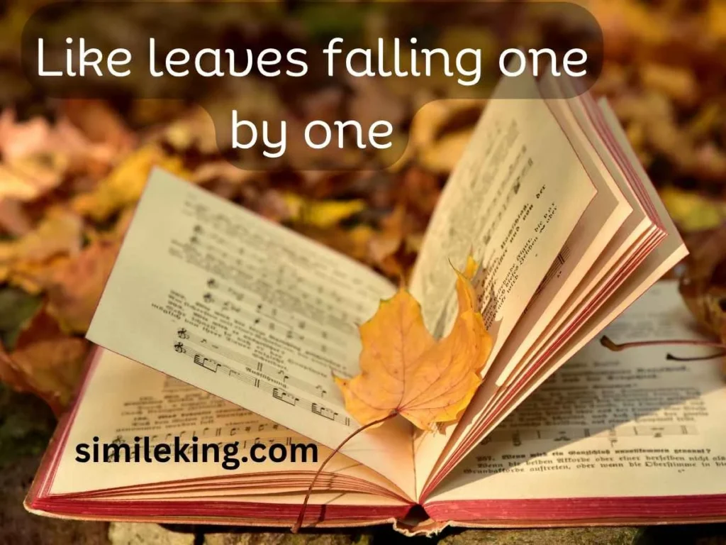 Like leaves falling one by one