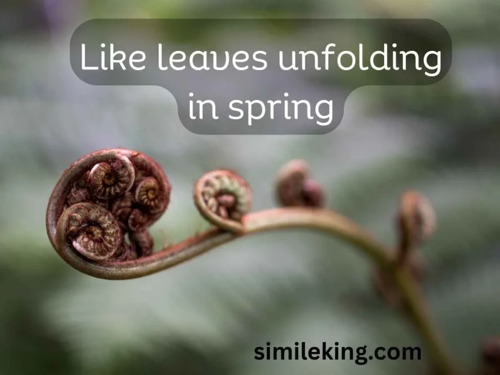 Like leaves unfolding in spring