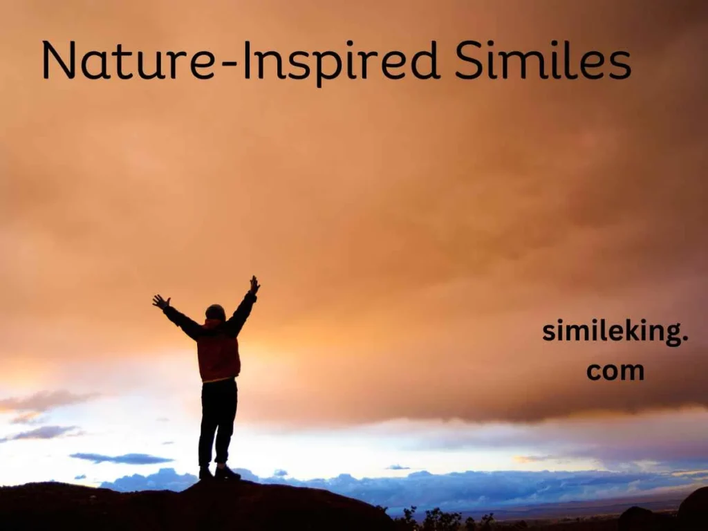 Nature-Inspired Similes