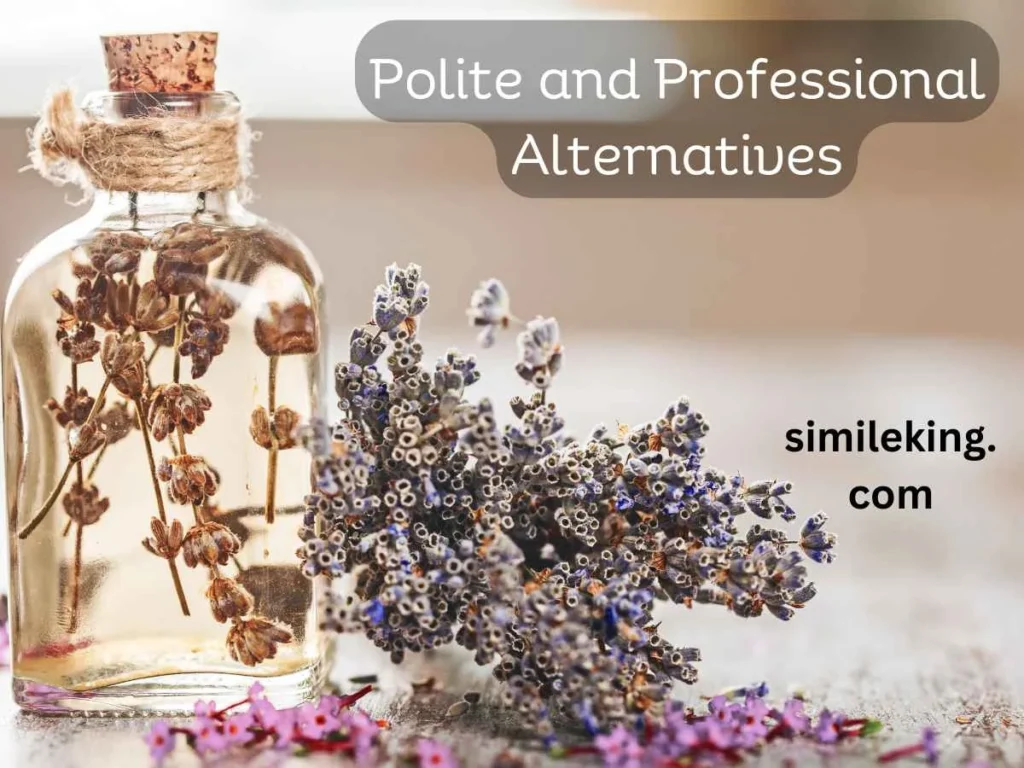 Polite and Professional Alternatives