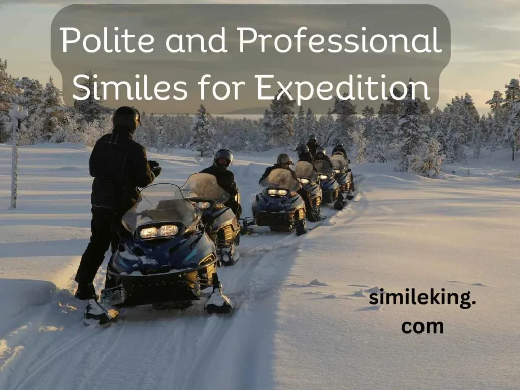 Polite and Professional Similes for Expedition