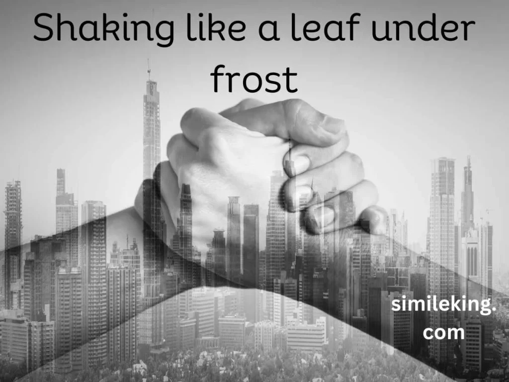 Shaking like a leaf under frost