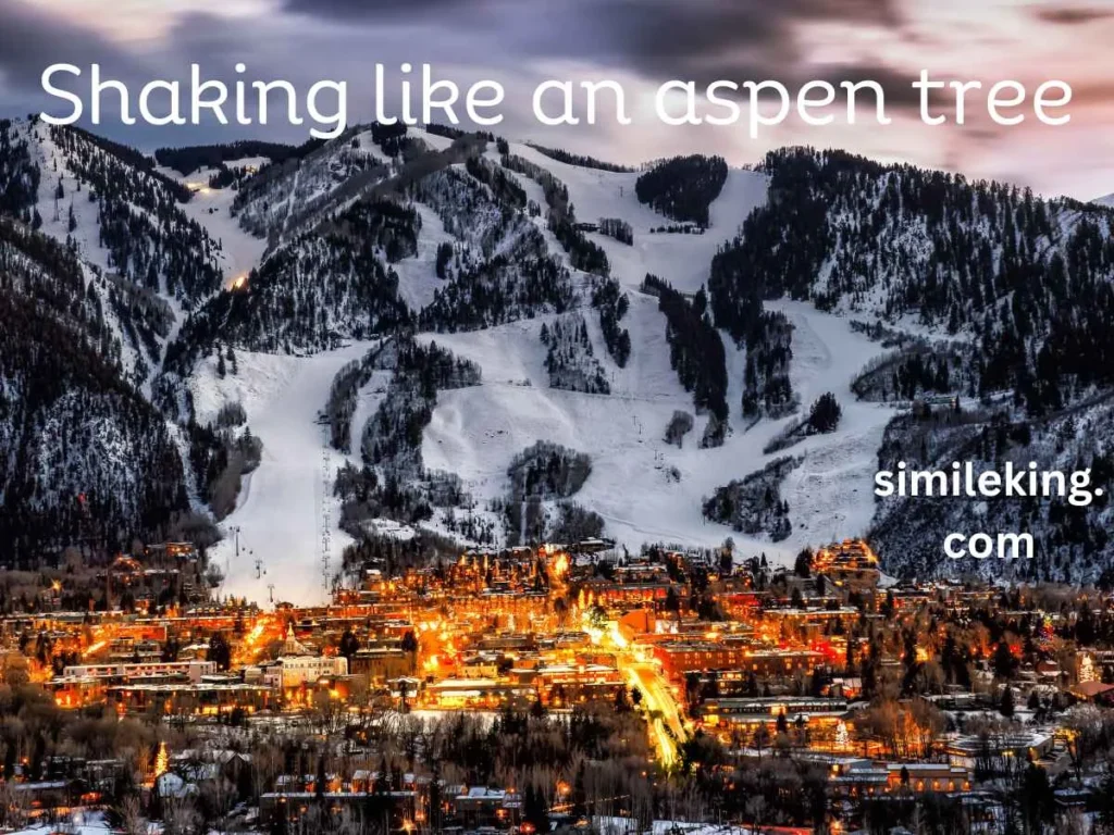 Shaking like an aspen tree
