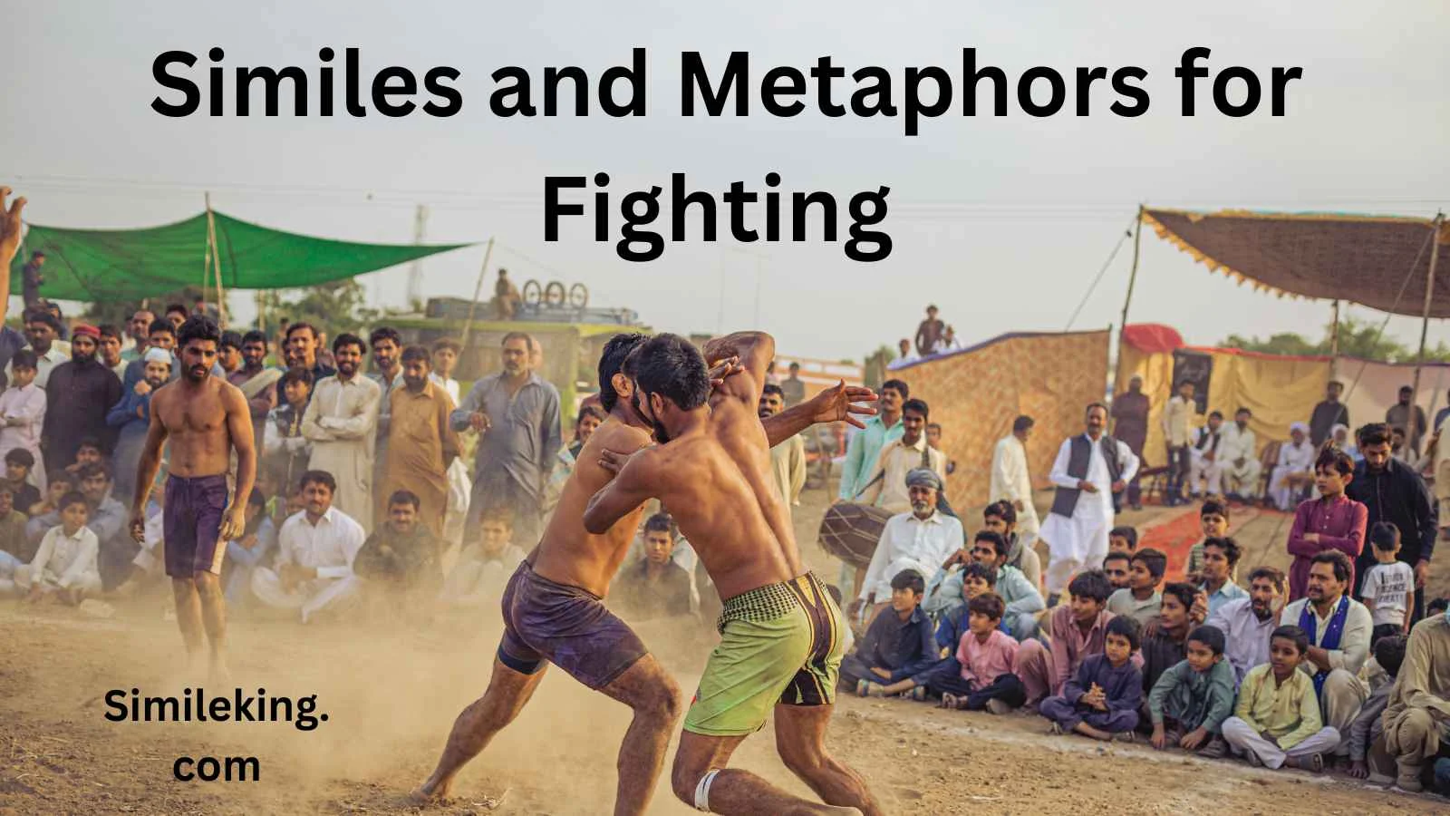 Similes and Metaphors for Fighting