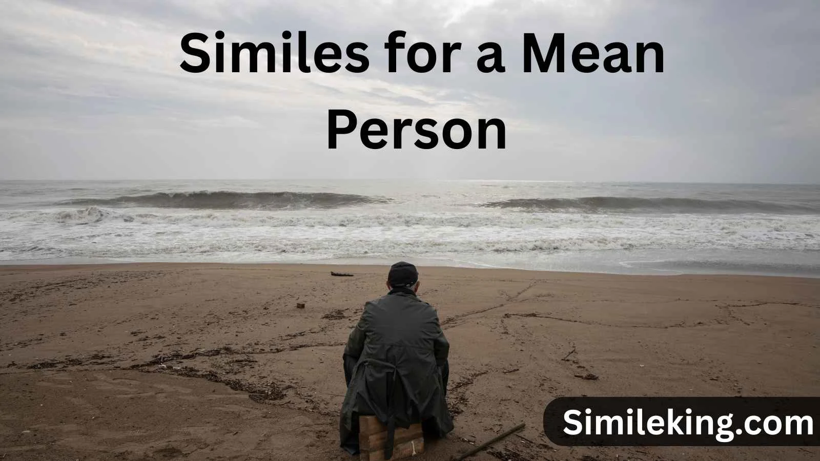 Read more about the article 15+ Similes for a Mean Person