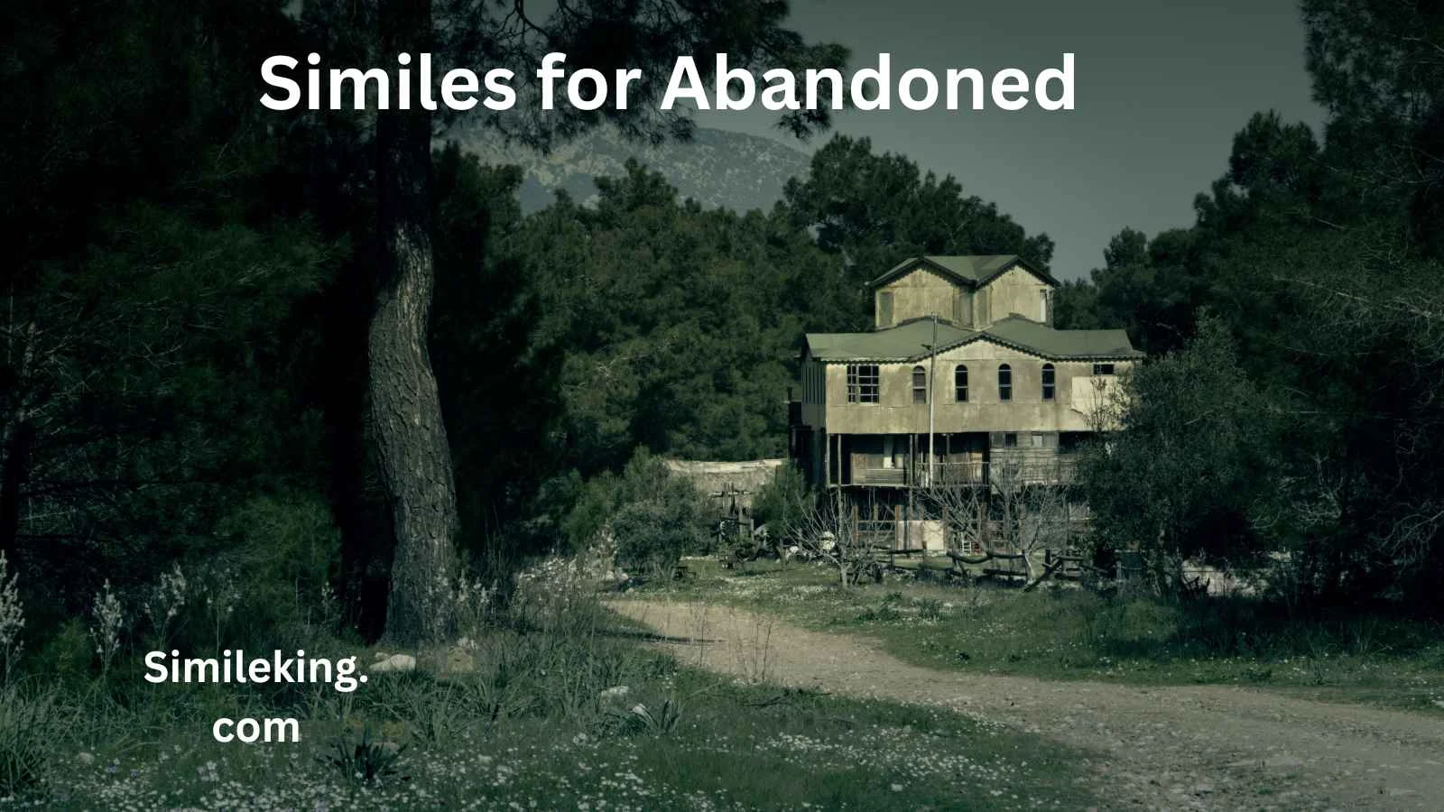 Read more about the article 25+ Similes for Abandoned: Expressing Loneliness and Desertion with Impact
