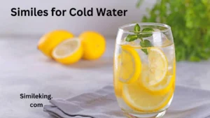Read more about the article 10+ Similes for Cold Water: Expressing Chill with Style and Clarity<div class="last-updated" style="font-size:14px; font-weight:bold; color:#444; background:#f5f5f5; padding:10px; border-radius:5px; margin-top:10px; margin-bottom:20px;">
                 Last updated: July 12, 2025 at 4:58 am by Charles
            </div>