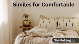 Read more about the article 20+ Similes for Comfortable: Polite, Professional, and Casual Alternatives to Express Comfort<div class="last-updated" style="font-size:14px; font-weight:bold; color:#444; background:#f5f5f5; padding:10px; border-radius:5px; margin-top:10px; margin-bottom:20px;">
                 Last updated: July 29, 2025 at 4:58 am by Charles
            </div>