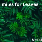 15+ Similes for Leaves