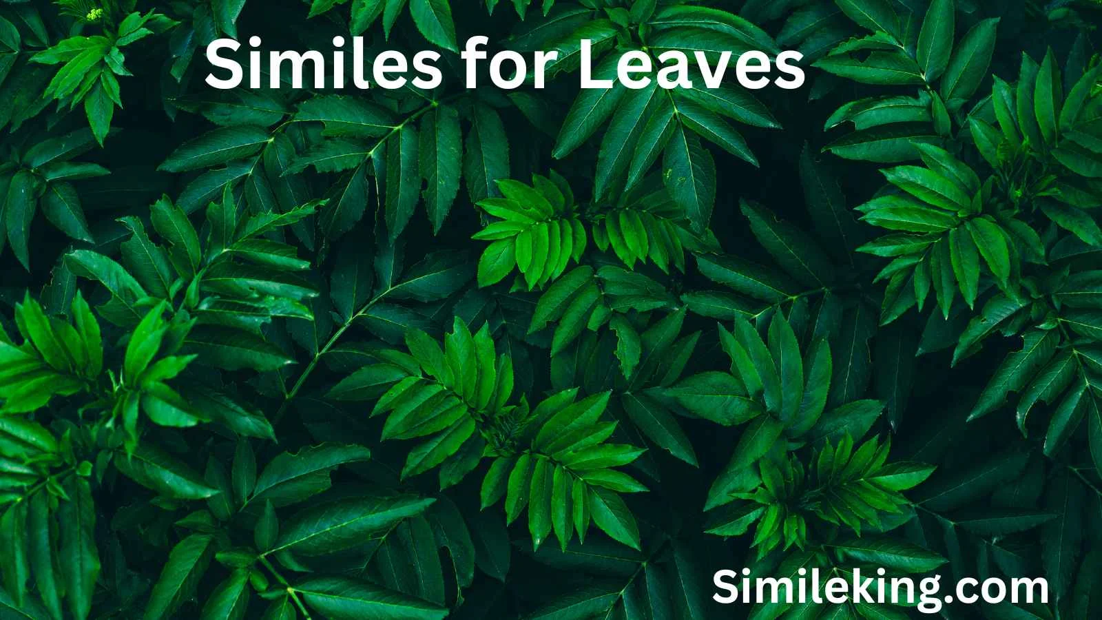 Similes for Leaves