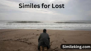 Read more about the article 20+ Similes for Lost: Expressing the Feeling with Elegance and Clarity