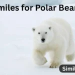 25+ Similes for Polar Bears: Expressive Comparisons for Every Occasion
