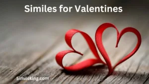 Read more about the article 10+ Similes for Valentines<div class="last-updated" style="font-size:14px; font-weight:bold; color:#444; background:#f5f5f5; padding:10px; border-radius:5px; margin-top:10px; margin-bottom:20px;">
                 Last updated: July 23, 2025 at 4:58 am by Charles
            </div>