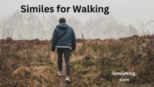Read more about the article 25+ Similes for Walking<div class="last-updated" style="font-size:14px; font-weight:bold; color:#444; background:#f5f5f5; padding:10px; border-radius:5px; margin-top:10px; margin-bottom:20px;">
                 Last updated: July 22, 2025 at 5:43 am by Charles
            </div>