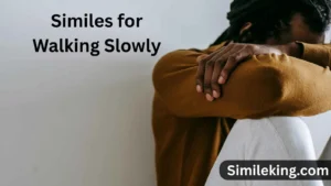 Read more about the article 10+ Similes for Walking Slowly: Expressive Alternatives for Every Context<div class="last-updated" style="font-size:14px; font-weight:bold; color:#444; background:#f5f5f5; padding:10px; border-radius:5px; margin-top:10px; margin-bottom:20px;">
                 Last updated: July 31, 2025 at 5:24 am by Charles
            </div>