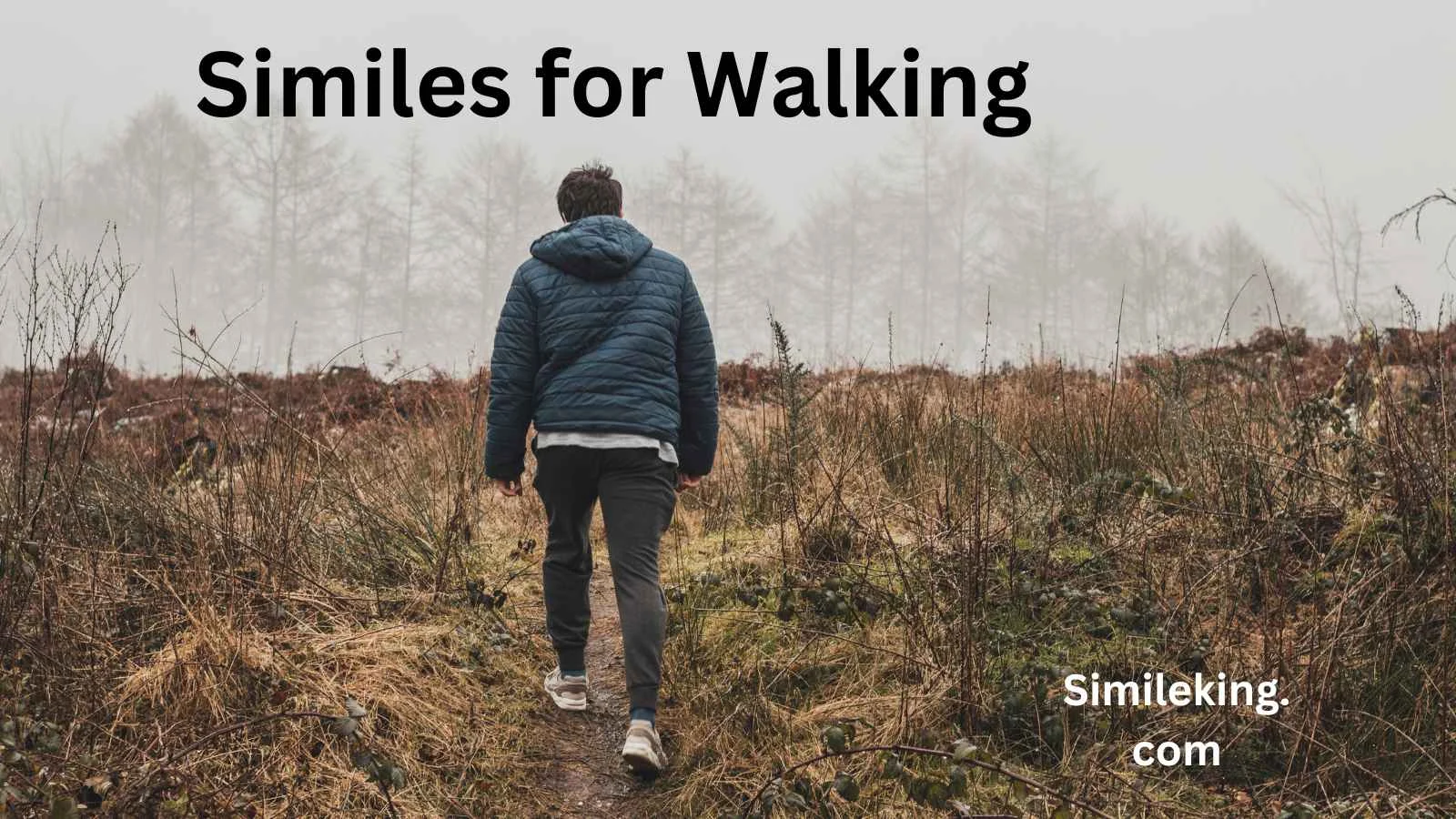 Similes for Walking