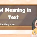 DW Meaning in Text: Definition, Usage, and Best Alternatives in 2025
