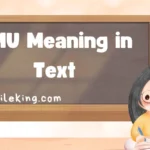 HMU Meaning in Text (2025 Updated Guide)
