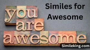 Read more about the article 25+ Similes for Awesome<div class="last-updated" style="font-size:14px; font-weight:bold; color:#444; background:#f5f5f5; padding:10px; border-radius:5px; margin-top:10px; margin-bottom:20px;">
                 Last updated: August 5, 2025 at 4:16 am by Charles
            </div>