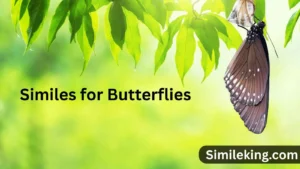 Read more about the article 15+ Similes for Butterflies<div class="last-updated" style="font-size:14px; font-weight:bold; color:#444; background:#f5f5f5; padding:10px; border-radius:5px; margin-top:10px; margin-bottom:20px;">
                 Last updated: August 2, 2025 at 4:35 am by Charles
            </div>