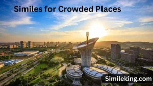 Read more about the article 15+ Similes for Crowded Places<div class="last-updated" style="font-size:14px; font-weight:bold; color:#444; background:#f5f5f5; padding:10px; border-radius:5px; margin-top:10px; margin-bottom:20px;">
                 Last updated: August 11, 2025 at 4:15 am by Charles
            </div>