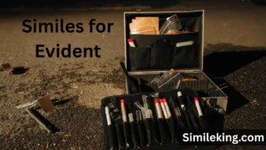 Read more about the article 10+ Similes for Evident<div class="last-updated" style="font-size:14px; font-weight:bold; color:#444; background:#f5f5f5; padding:10px; border-radius:5px; margin-top:10px; margin-bottom:20px;">
                 Last updated: August 11, 2025 at 4:20 am by Charles
            </div>
