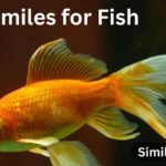 10+ Similes for Fish
