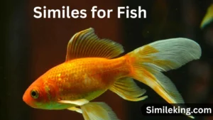 Read more about the article 10+ Similes for Fish<div class="last-updated" style="font-size:14px; font-weight:bold; color:#444; background:#f5f5f5; padding:10px; border-radius:5px; margin-top:10px; margin-bottom:20px;">
                 Last updated: August 6, 2025 at 4:38 am by Charles
            </div>