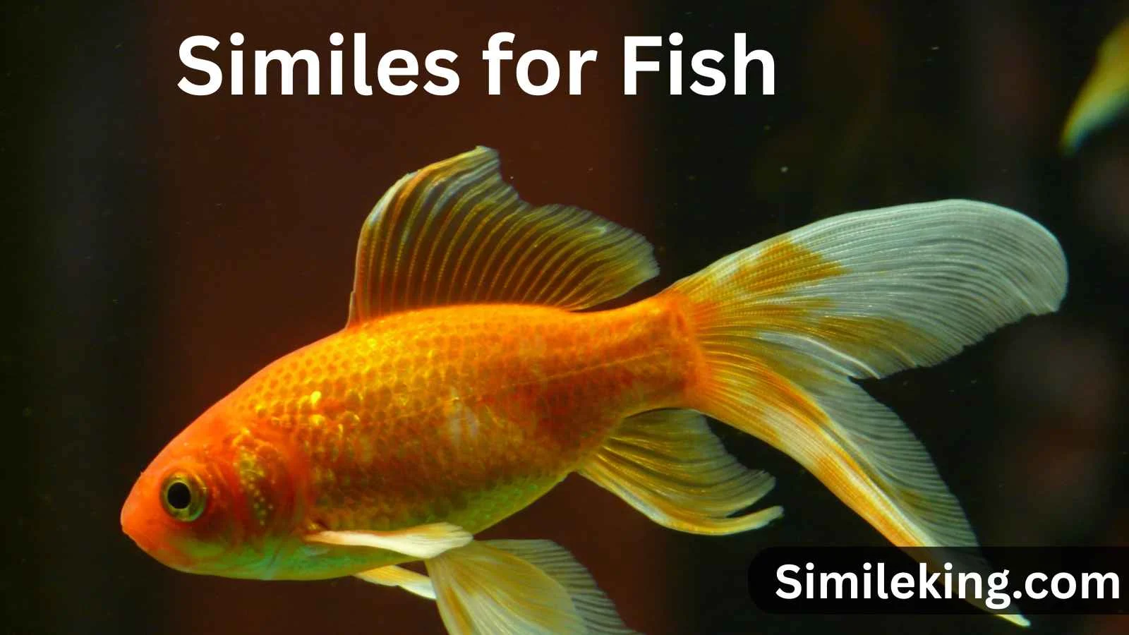 Similes for Fish