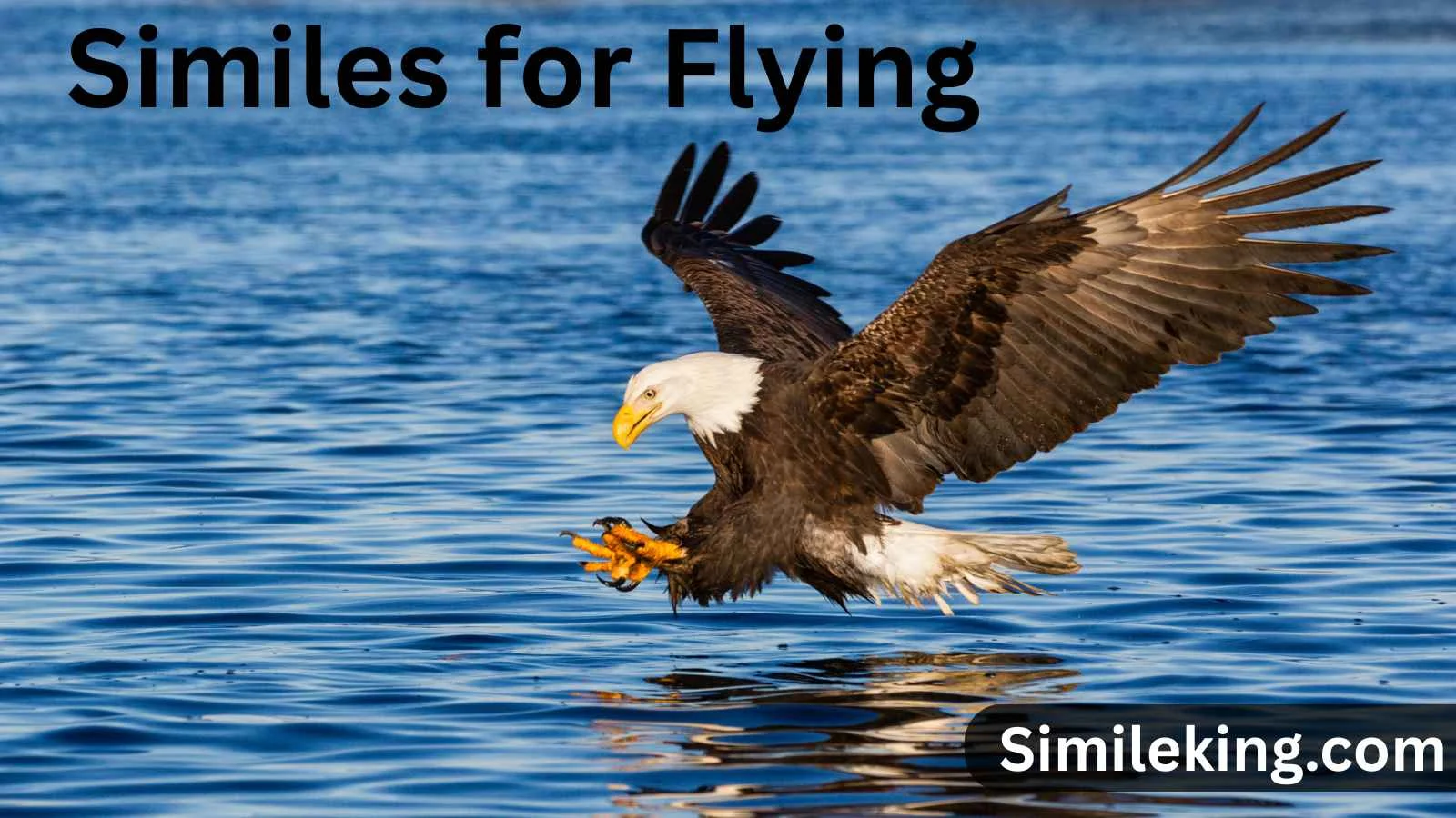 Similes for Flying