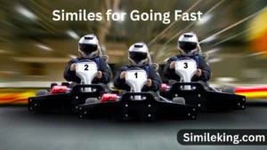 Read more about the article 10+ Similes for Going Fast<div class="last-updated" style="font-size:14px; font-weight:bold; color:#444; background:#f5f5f5; padding:10px; border-radius:5px; margin-top:10px; margin-bottom:20px;">
                 Last updated: August 2, 2025 at 4:49 am by Charles
            </div>