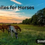 20+ Similes for Horses