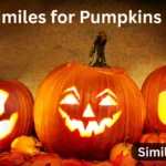 20+ Similes for Pumpkins 🍂🎃