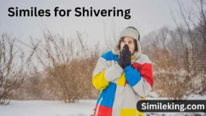 Read more about the article 15+ Similes for Shivering<div class="last-updated" style="font-size:14px; font-weight:bold; color:#444; background:#f5f5f5; padding:10px; border-radius:5px; margin-top:10px; margin-bottom:20px;">
                 Last updated: August 7, 2025 at 4:28 am by Charles
            </div>