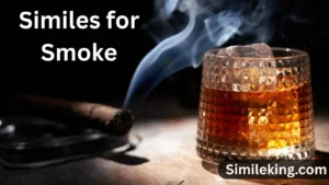 Read more about the article 20+ Similes for Smoke<div class="last-updated" style="font-size:14px; font-weight:bold; color:#444; background:#f5f5f5; padding:10px; border-radius:5px; margin-top:10px; margin-bottom:20px;">
                 Last updated: August 12, 2025 at 4:44 am by Charles
            </div>