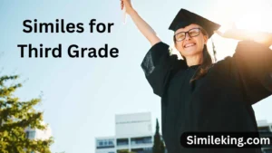 Read more about the article 20+ Similes for Third Grade