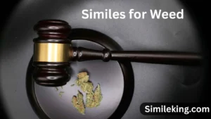 Read more about the article 10+ Similes for Weed<div class="last-updated" style="font-size:14px; font-weight:bold; color:#444; background:#f5f5f5; padding:10px; border-radius:5px; margin-top:10px; margin-bottom:20px;">
                 Last updated: August 7, 2025 at 4:35 am by Charles
            </div>