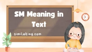 Read more about the article SM Meaning in Text<div class="last-updated" style="font-size:14px; font-weight:bold; color:#444; background:#f5f5f5; padding:10px; border-radius:5px; margin-top:10px; margin-bottom:20px;">
                 Last updated: August 28, 2025 at 7:17 am by Charles
            </div>